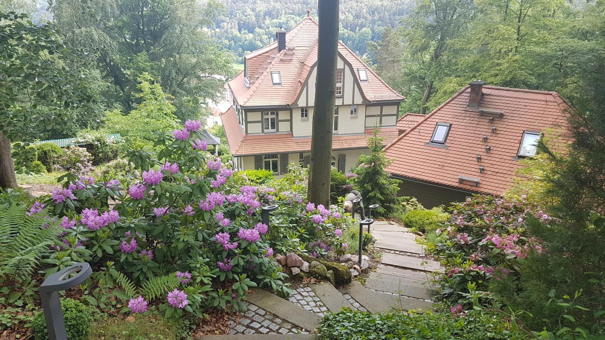 Villa Sonnenburg Bad Schandau Exterior photo